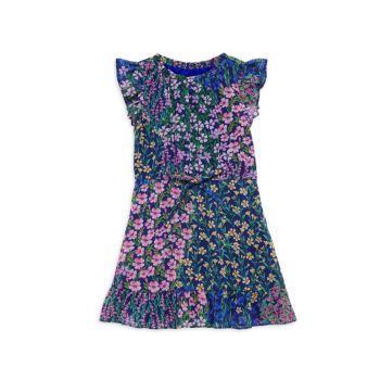 Little Girl's &amp; Girl's Floral Print Chiffon Dress RACHEL PARCELL