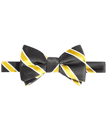 Men's Black & Gold Stripe Bow Tie Tayion Collection