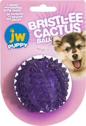 JW Pet Bristly Cactus Ball Dog Toy, Purple JW Pet