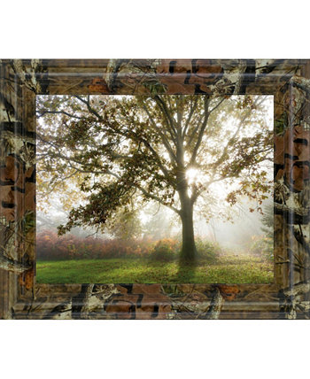 Картина "Утреннее спокойствие" Ли Фроста с принтом в рамке, 22 "x 26" Classy Art