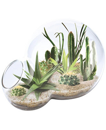 Уникальный стеклянный террариум с двойной сферой для садовника, набор растений для побега из пустыни Areyougame