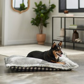 Frisco Buffalo Check Pillow Cat & Dog Bed, Black & White Frisco