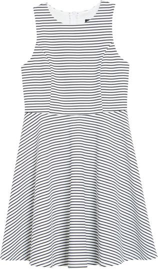 Stripe Skater Dress Zunie