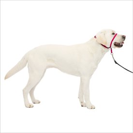 PetSafe Gentle Leader Padded No Pull Dog Headcollar PetSafe