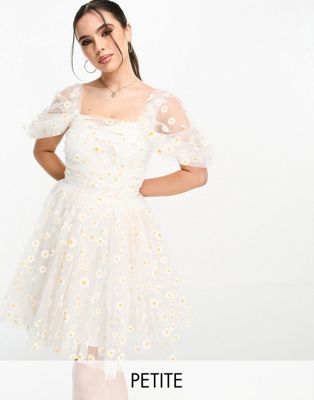 Мини-платье Lace & Beads Petite с дрейпировкой из тюля в белых ромашках LACE & BEADS