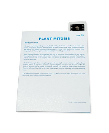 Microslide, Plant Mitosis Supertek