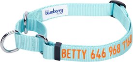 Blueberry Pet Safety Training Personalized Martingale Dog Collar Blueberry Pet