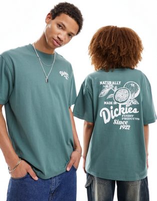 Темно-зеленая футболка с короткими рукавами Dickies Raven Dickies