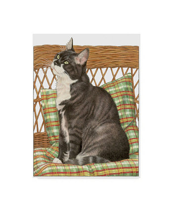 Francien Van Westering 'Black Cat On Pillow' Canvas Art - 14" x 19" Trademark Global