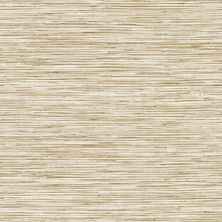 Stacy Garcia Home Faux Grasscloth Peel and Stick Wallpaper STACY GARCIA HOME