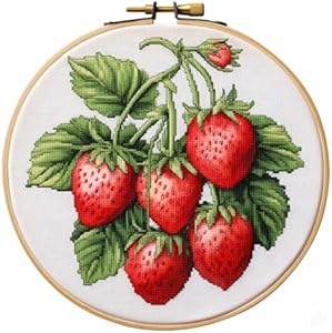 Generic Red Strawberry 11CT Stamped Cross Stitch Kits Easy for Beginners Child with Hoop DIY Needlepoint Counted Embroidery Kits Art Craft Wall Decor 12x12IN(3) Generic