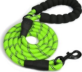 Doggy Tales Braided Dog Leash, 5-ft Doggy Tales