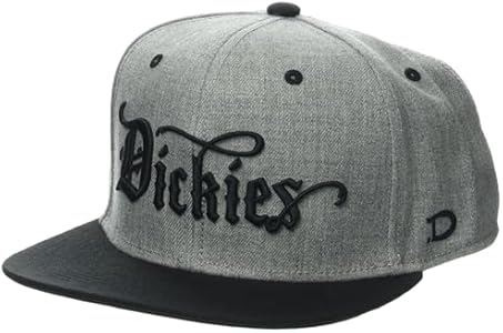 Dickies mens Embroidered Flat Brim Hat Dickies