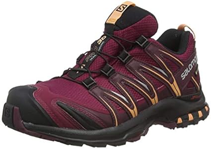 Женские Кроссовки для бега Salomon XA PRO 3D GTX W Rhodo Salomon