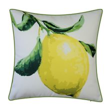Большая декоративная подушка с лимоном для помещений и улицы New York Botanical Garden® NYBG