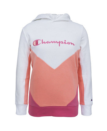 3 color champion hoodie