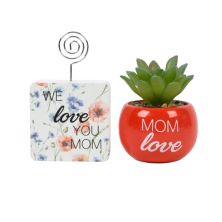 &#34;Love You Mom&#34; Succulent and Clippie Set Unbranded