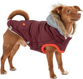 GF Pet Winter Sailor Dog Parka GF Pet