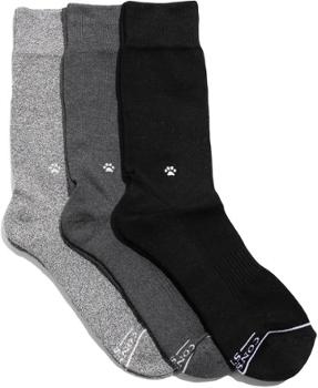 Save Dogs Socks Gift Box - 3 Pairs Conscious Step