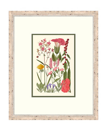 Картины из жикле в рамке Cottage Flowers II - 21 "x 25" x 2 " Melissa Van Hise