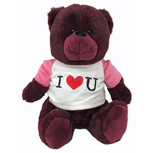 Valentines Day 10" Plush Teddy Bear with I Love You Shirt (Cabernet) Plushies