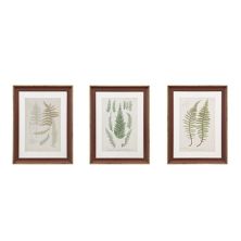 Набор настенных картин из 3 предметов в рамке Martha Stewart Lady Fern Martha Stewart