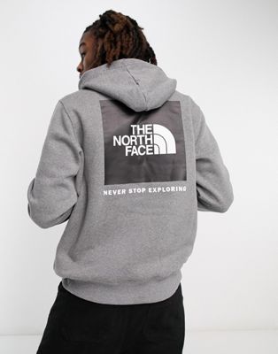 Серая худи с логотипом The North Face NSE The North Face