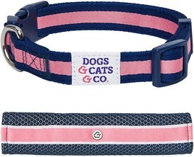 Dogs & Cats & Co. Daily Essential with Add-on Accessory Polyester Dog Collar Dogs & Cats & Co.