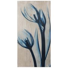 Blue Tulips Fine Radiographic Photography Hi Definition Wall Art Empire Art Direct
