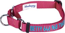 Blueberry Pet Safety Training Personalized Martingale Dog Collar Blueberry Pet