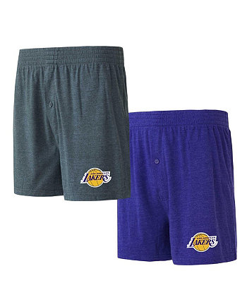 Мужской комплект из двух трикотажных боксеров фиолетового и темно-серого цвета Los Angeles Lakers Concepts Sport
