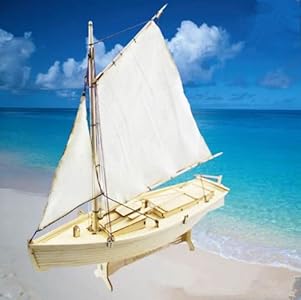 HAPYLY Scale DIY Hobby Wooden Ship Science Equipmen Assembly Model Boat Kits Sailing Boat Kit Decor Toy Gift (1:30 Flattie) HAPYLY