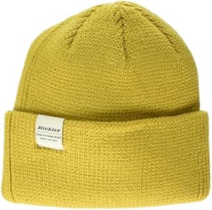 Dickies mens Thick Knit Beanie Dickies