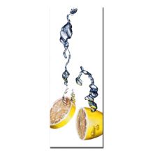 Картина на холсте 'Lemon Splash II' Trademark Fine Art
