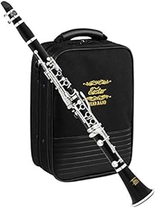 Eastar B Flat Clarinet for Beginner, Ebonite Clarinet Nickel-plated with 2 Barrels, 3 Reeds, White Gloves, Hard Case, Cleaning Kt, ECL-300 Eastar