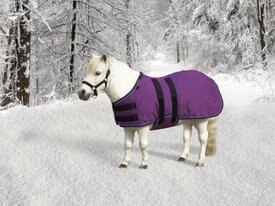 Kensington Protective Products Signature Mini Light Weight Horse Turnout Kensington Protective Products