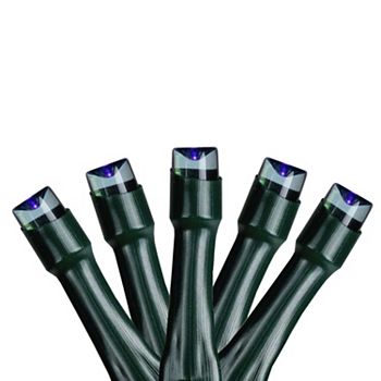 Sienna 20 Battery Operated Blue LED Wide Angle Christmas Lights - 6.25 ft Green Wire Sienna