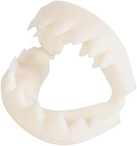 Rhode Island Novelty Great White Shark Teeth Rhode Island Novelty