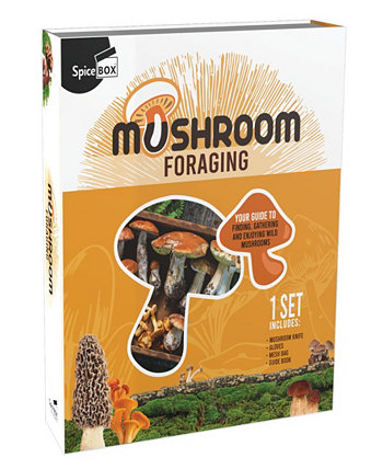 Gift Box - Mushroom Foraging Kit Spicebox