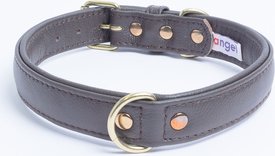 Angel Alpine Padded Leather Standard Dog Collar Angel