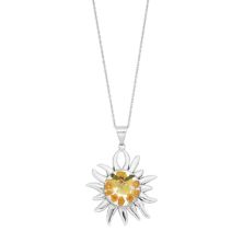 Ожерелье с подвеской в виде солнца из стерлингового серебра с прессованным цветком Everlasting Flowers Jewelry