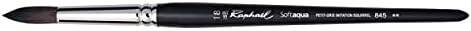 Raphael SoftAqua Synthetic Squirrel Watercolor Brush, Round, 2, Black Raphael