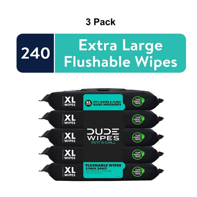 DUDE Flushable Wipes, Extra Large Mint Chill Wet Wipes, 48 Count, 5 Pack (240 Total) (3) DUDE