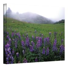 24 '' x 36 '' 'Гора Фигероа с туманом' Картины на холсте Кэти Йейтс ArtWall