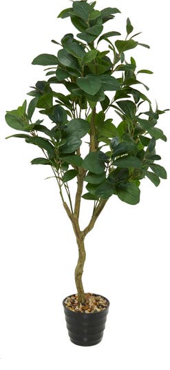 Искусственное растение Дубан в горшке SONOMA SAGE HOME