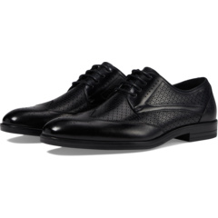 Asher Wingtip Lace Oxford Stacy Adams