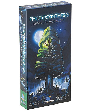 Photosynthesis Under the Moonlight Expansion Set, 36 Piece Blue Orange