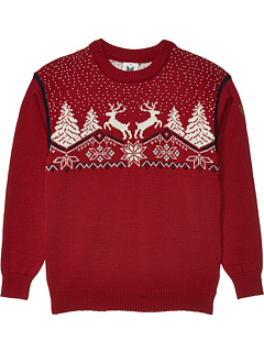 Рождественский свитер (малыши / маленькие дети / дети старшего возраста) Dale of Norway