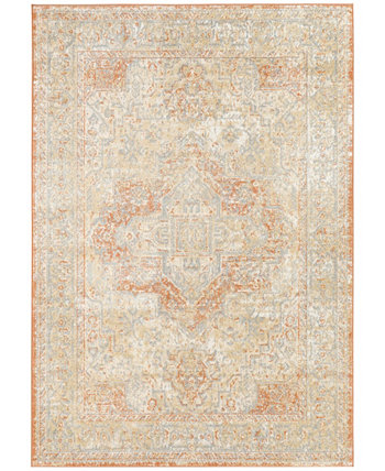 Nourison Essentials Persian NRE07 4'x6' Area Rug Nourison Home