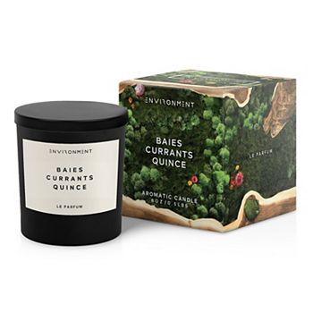 8oz Candle Inspired By D Baies - Baies, Currants, Quince ENVIRONMENT